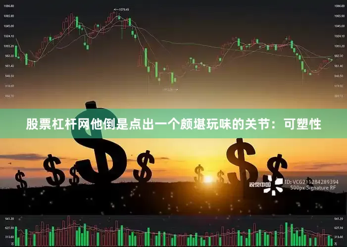 股票杠杆网他倒是点出一个颇堪玩味的关节：可塑性