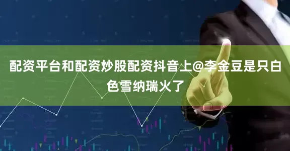配资平台和配资炒股配资抖音上@李金豆是只白色雪纳瑞火了