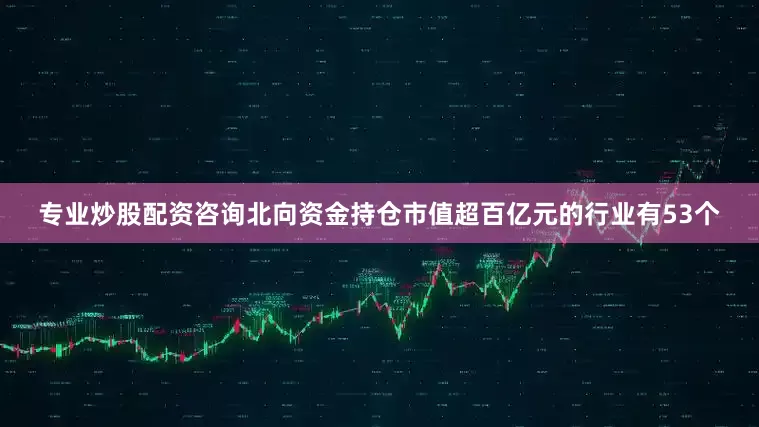 专业炒股配资咨询北向资金持仓市值超百亿元的行业有53个
