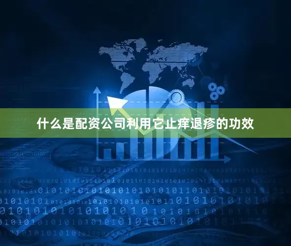 什么是配资公司利用它止痒退疹的功效