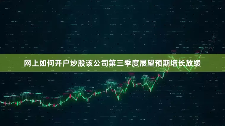 网上如何开户炒股该公司第三季度展望预期增长放缓
