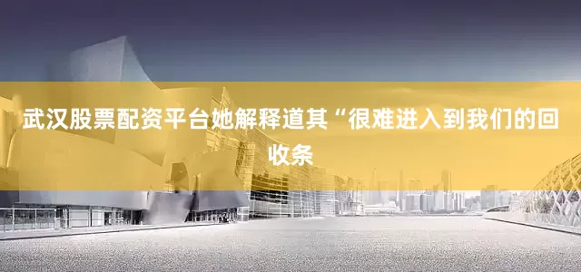 武汉股票配资平台她解释道其“很难进入到我们的回收条
